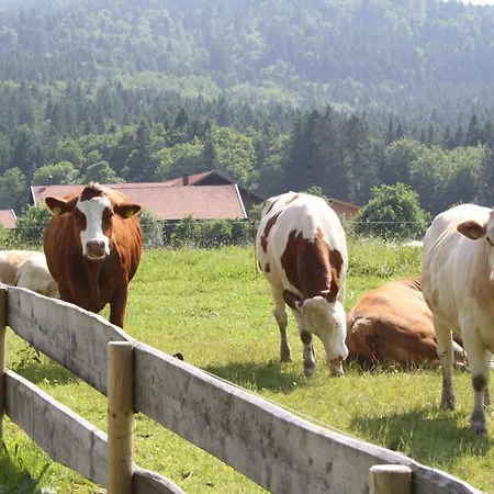 Agroturismo Gaestehaus Herbstbauernhof *